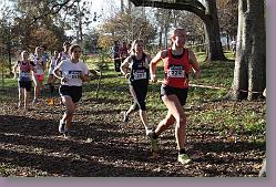 Begles 15.12.13 01 736 * 679 x 453 * (212KB)